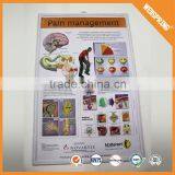 Trendy plastic custom medical wall chart