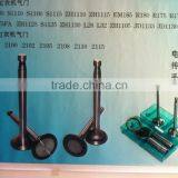 EURO II Valve With Good Quality
