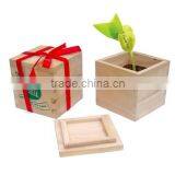 Happy Planters Magic Bean With Words Bring You Happy Life thumbnail-1