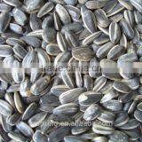 SUNFLOWER SEED ,SUNFLOWER SEED KERNLES thumbnail-6