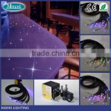 Hight brightness color changing PMMA plastic end lighting fiber optic cable for lighting