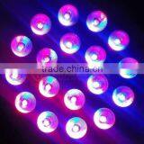 China 18x10w Indoor Stage Led Par Light for Sale,led Par Light