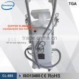 Professional Beauty Machine Criotherapy Weight Loss Machine Popular in the World thumbnail-3