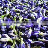 Dried Violet Butterfly Pea Flower Tea for Sale