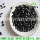 SMALL BLACK KIDNEY BEAN thumbnail-1