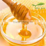 Wholesale Pure Rape Honey thumbnail-1
