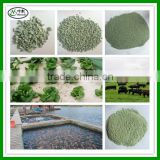Organic Natural Zeolite for Gas Adsorption/Gardening / Aquaculture