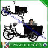 Three Wheel Triporteur Electric Cargo Trike Reverse Trike for Sale thumbnail-2
