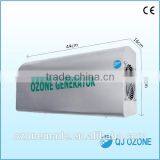 3g 5g 10g Wall Mounted Ozone Generator for Room