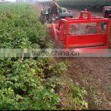 Good Price Top Quality Hydraulic Tractor PTO Use Automatic Two Rows Potato Combine Harvester Digger With CE Certification thumbnail-6