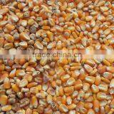 2017 New Version Maize Color Selecting Sorter in China thumbnail-3