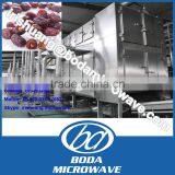 Hot air palm date drying machine