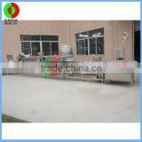 New Developed Vortex Air Bubble Ozone Fruit and Vegetable Washing Production Line thumbnail-5