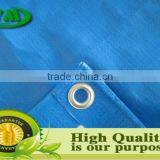 Poly Tap thumbnail-1