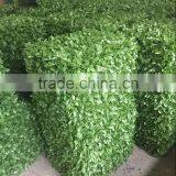 Artificial Outdoor and Indoor Boxwood Hedge for Decoration thumbnail-3