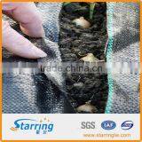 100g PP Green-black Woven Fabric Ground Cover thumbnail-1