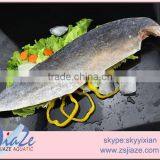 Frozen Mahi Mahi Fillets thumbnail-2