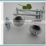 BWG9 BWG10 Export to Africa and Myanmar Indonesia E-galvanized Umbrella Head ROOFING NAILS thumbnail-3