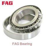 FAG Bearing