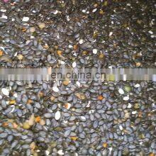 High Output Pumpkin Seed Extractor Watermelon Seeds Harvester Extractor Separating Machine - With Sack Storage thumbnail-2