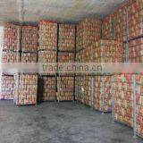 Qingdao New Yang Shan Trading Co., Ltd. company overview - view 3 thumbnail