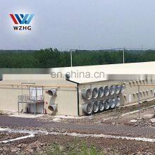 Prefab Custom Poultry Farm Q355B Q235B Steel Structure House 10000 Pcs Chicken House Steel Metal Sheds Cow Sheds for Sale thumbnail-3