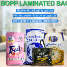 Fashion Recycled Eco-friendly Laminated Polypropylene Plastic Tote Shopping pp Woven Bag thumbnail-4