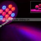 HOT Sale New Arrival High Quality 12w E27 LED Grow Light Hydroponic for Indoor Plant thumbnail-4