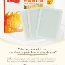 Hot - Compress Physiotherapy Patch thumbnail-1