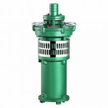 Oil-Immersed Submersible Motor Pump (MDP) thumbnail-1