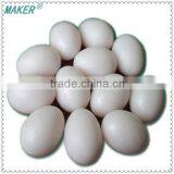Imitation Plastic Pigeon Egg For Hatching thumbnail-1