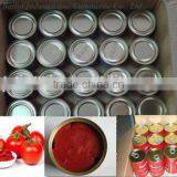 HOT!!Spaghetti Tomato Paste for Brand Sauce thumbnail-4