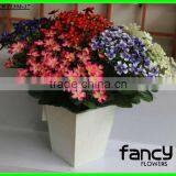 2013 Hot Sale 8 Heads Small Bulk Decorative Artificial Fabric Daisy Flower Factory Making for Home&wedding Decoration