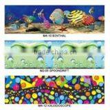 Bowling Lane-Masking Unit