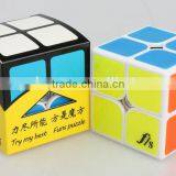 FangShi (Funs) 50mm FUNS SHISHUANG 2*2 CUBE
