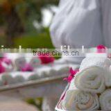 2015 Hot Sale Cotton Towel thumbnail-2