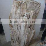 Landscaping Petrified Wood thumbnail-1