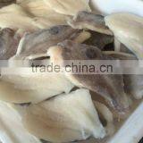 2015 New Coming Fresh Frozen John Dory Fillet thumbnail-2