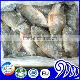 China Export Tilapia Fish Whole Round Seafood Product thumbnail-3