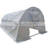 Strong Frame Green House for Home&garden thumbnail-6