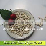 White Kidney Beans Japanese Type Good Quality thumbnail-1
