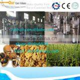Hydraulic Cold Rapseed Oil Press Machine /Tea Seed Oil Press Machine / Walnut Seed Oil Press Machine