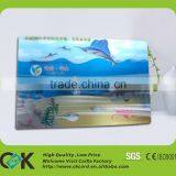 2016 Promotion 3d Picture 3d Card From China Supplier thumbnail-4