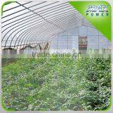 Watermelon Greenhouse With Plastic Covering thumbnail-2