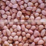 Peanut Kernal Precise Selection Line thumbnail-4