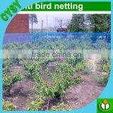Polythene Knotless Net---Anti Bird Net thumbnail-6