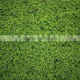 Recycling Material Long Life Green Grass Wall for Indoor and Outdoor Decor thumbnail-3