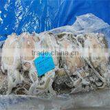 Fresh and Frozen Dried Squid Products thumbnail-1