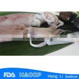 HL0088 Frozen Illex Argentina Squid Low-fat thumbnail-2