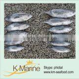 Tuna Fish Albacore Whole Round Lot Number#kmw4008 thumbnail-1